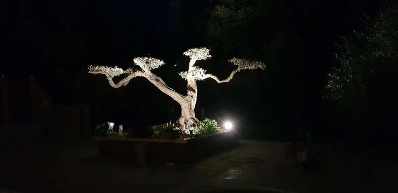 Les Gites De L'Arbousier Quissac  Bagian luar foto