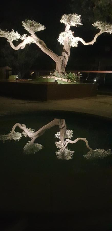 Les Gites De L'Arbousier Quissac  Bagian luar foto